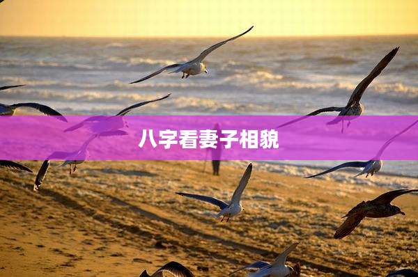 八字看妻子相貌