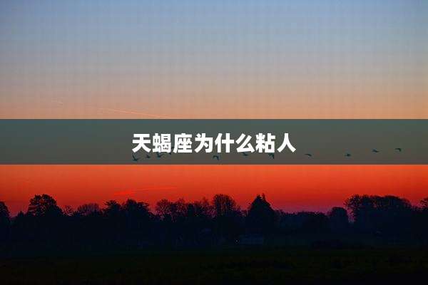 天蝎座为什么粘人