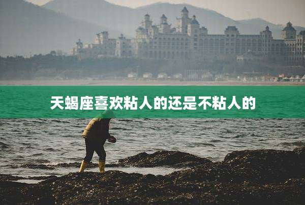 天蝎座喜欢粘人的还是不粘人的