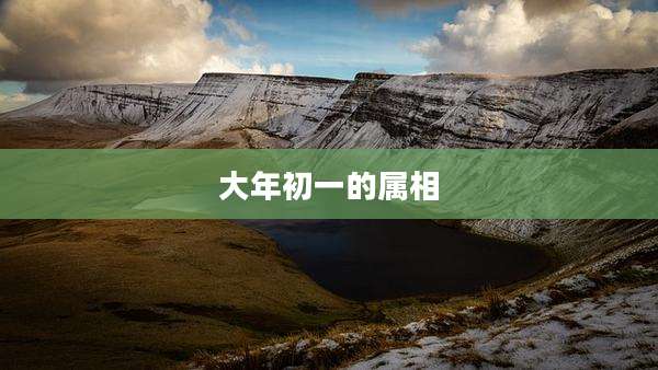 大年初一的属相