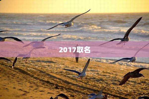 2017取名