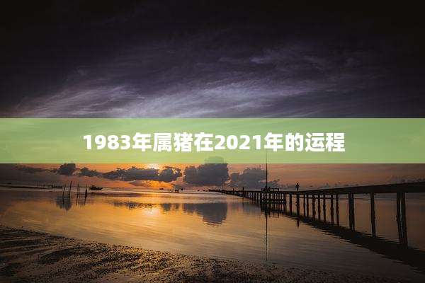 1983年属猪在2021年的运程