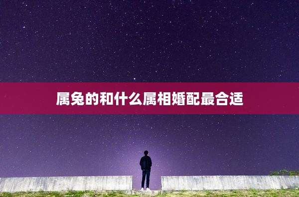 属兔的和什么属相婚配最合适