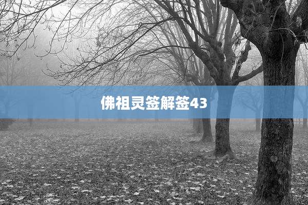 佛祖灵签解签43