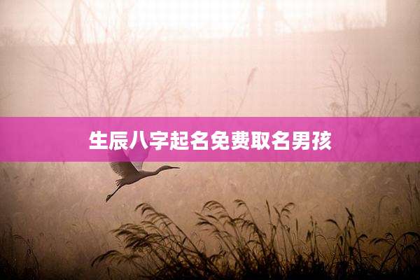 生辰八字起名免费取名男孩