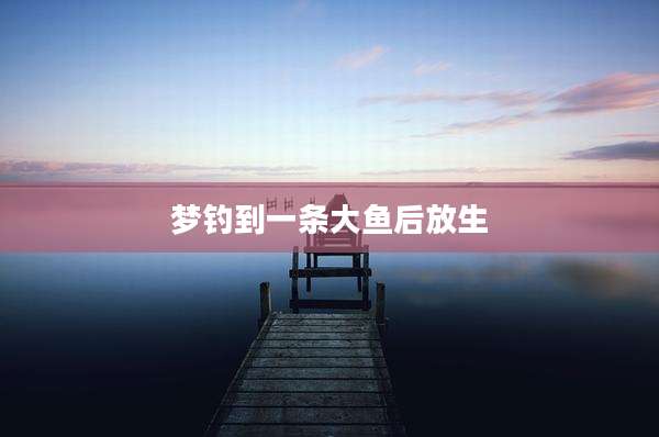 梦钓到一条大鱼后放生