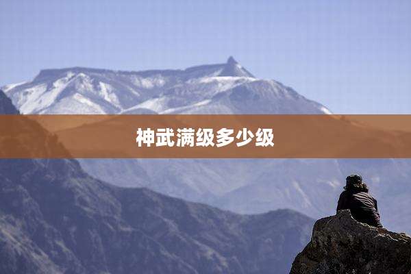 神武满级多少级