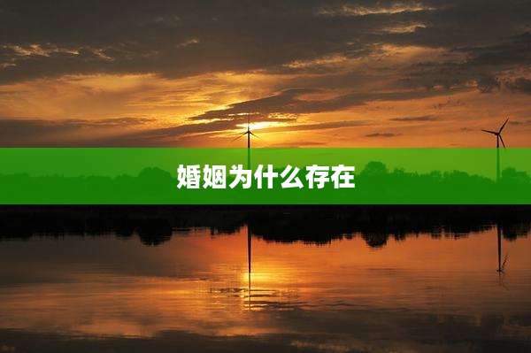 婚姻为什么存在