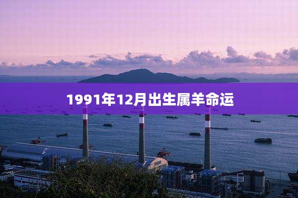 1991年12月出生属羊命运