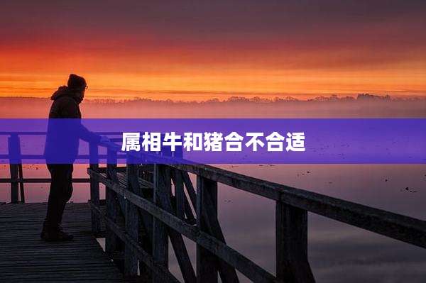 属相牛和猪合不合适
