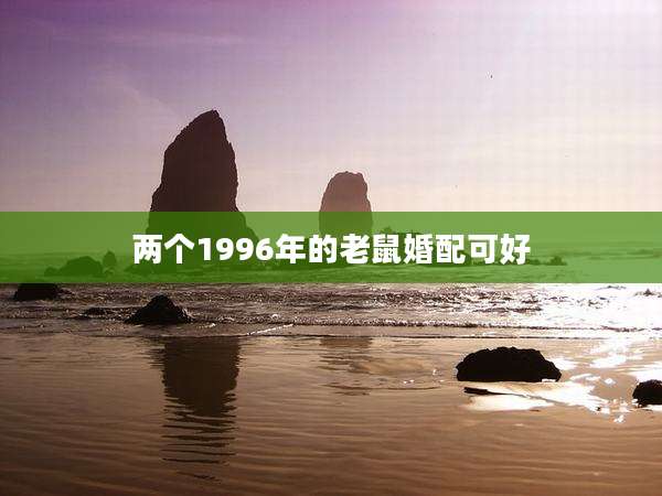 两个1996年的老鼠婚配可好