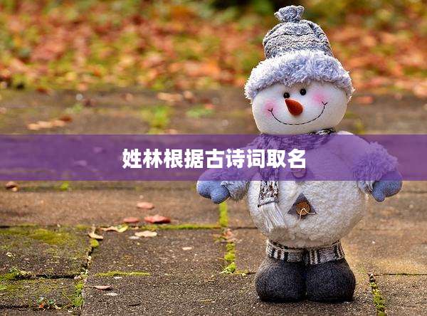 姓林根据古诗词取名