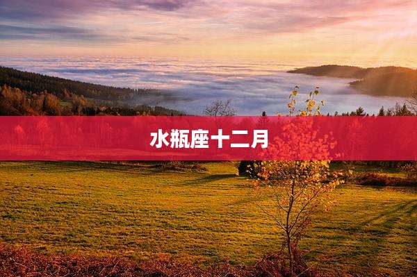 水瓶座十二月