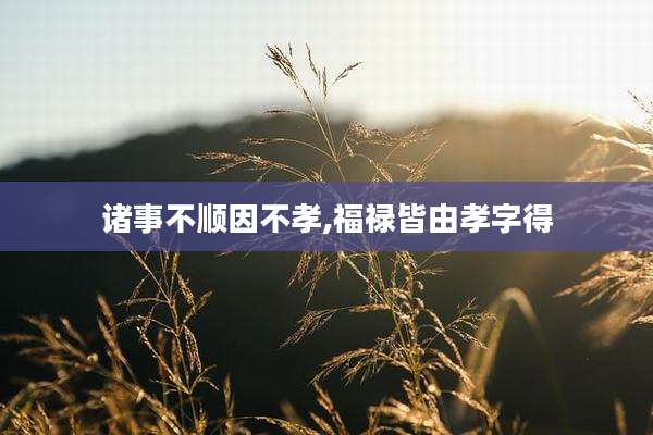诸事不顺因不孝,福禄皆由孝字得