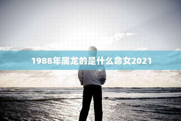 1988年属龙的是什么命女2021
