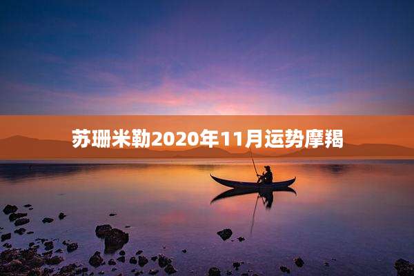 苏珊米勒2020年11月运势摩羯
