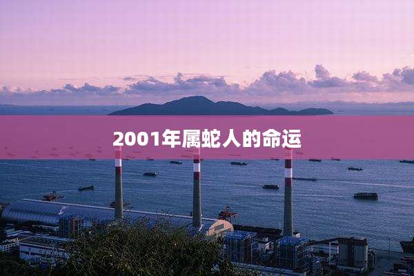 2001年属蛇人的命运