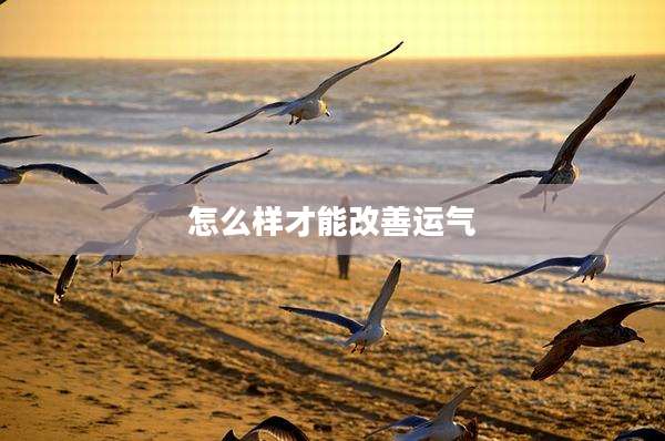 怎么样才能改善运气