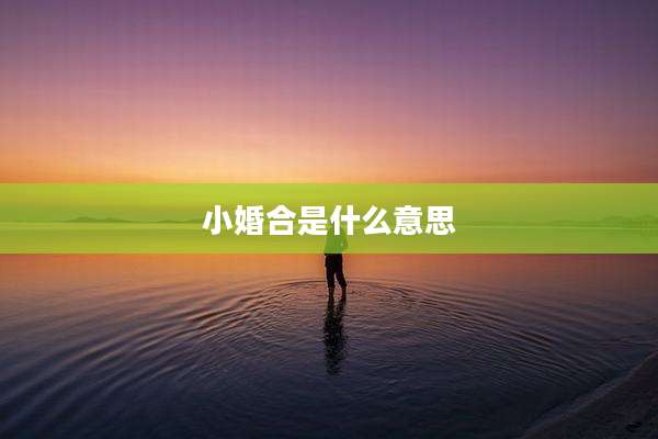 小婚合是什么意思