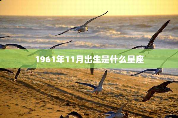1961年11月出生是什么星座