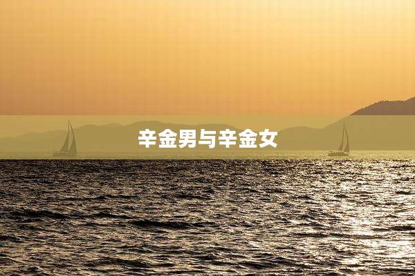 辛金男与辛金女