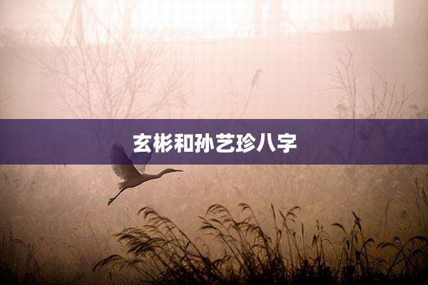 玄彬和孙艺珍八字