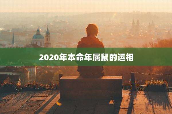 2020年本命年属鼠的运相