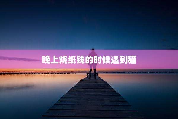 晚上烧纸钱的时候遇到猫