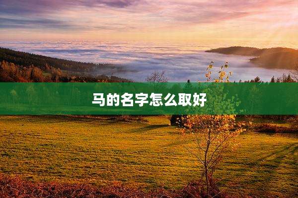 马的名字怎么取好
