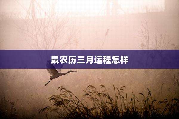 鼠农历三月运程怎样