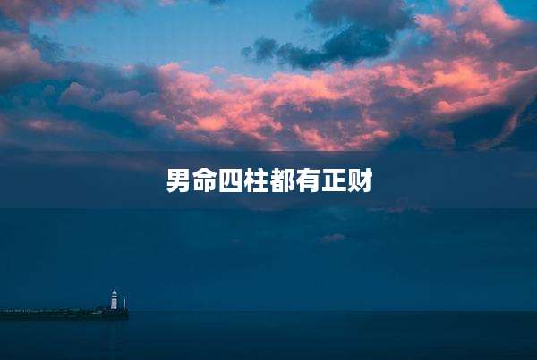 男命四柱都有正财