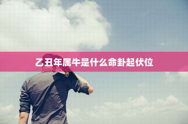 乙丑年属牛是什么命卦起伏位