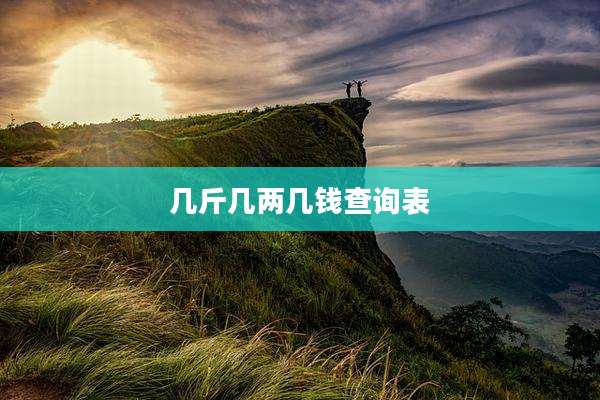 几斤几两几钱查询表