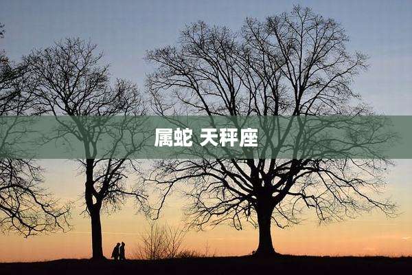 属蛇 天秤座