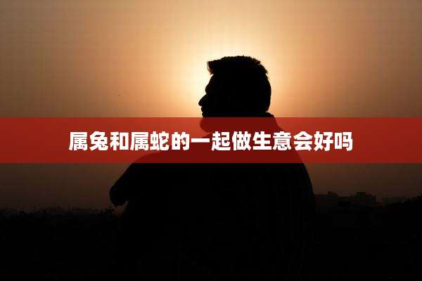 属兔和属蛇的一起做生意会好吗