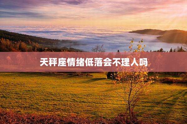 天秤座情绪低落会不理人吗