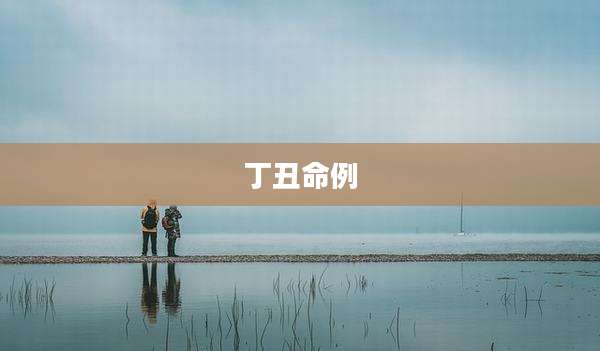 丁丑命例