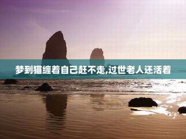 梦到猫缠着自己赶不走,过世老人还活着