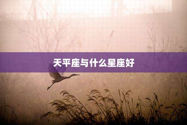 天平座与什么星座好