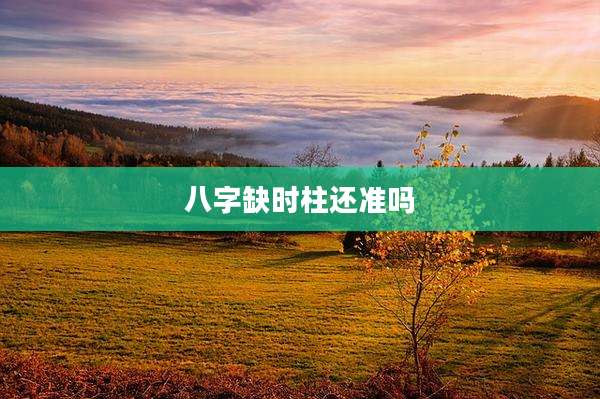 八字缺时柱还准吗
