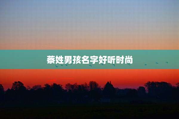 蔡姓男孩名字好听时尚