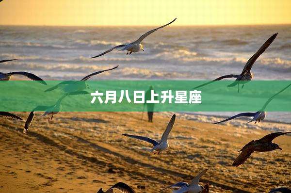 六月八日上升星座