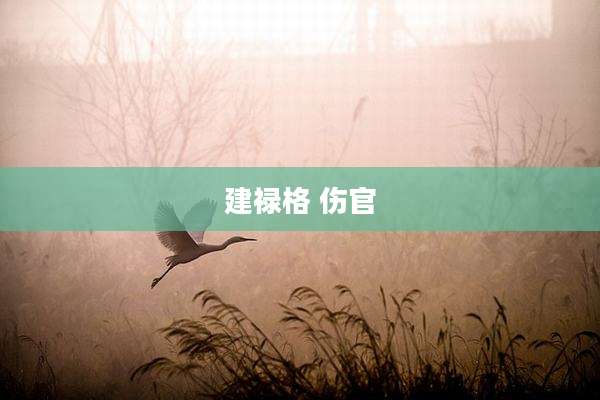 建禄格 伤官