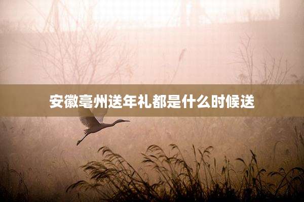 安徽亳州送年礼都是什么时候送