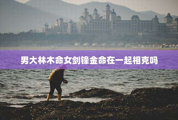 男大林木命女剑锋金命在一起相克吗