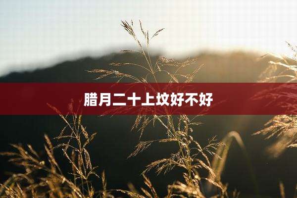 腊月二十上坟好不好