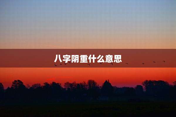 八字阴重什么意思