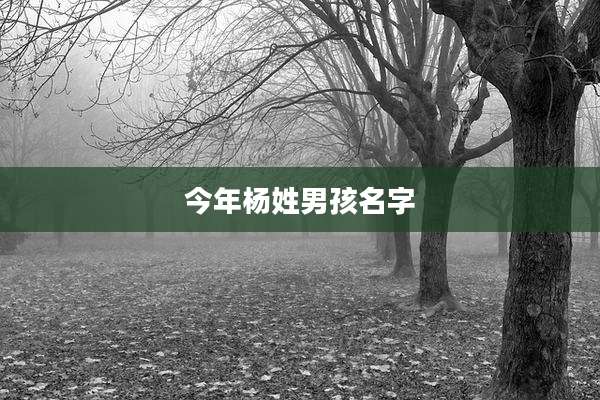 今年杨姓男孩名字