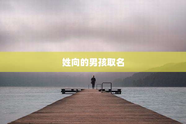 姓向的男孩取名