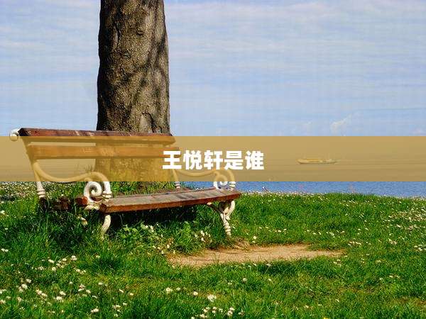 王悦轩是谁